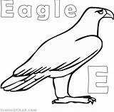 Eagle Pages Coloring American Printable Getcolorings sketch template