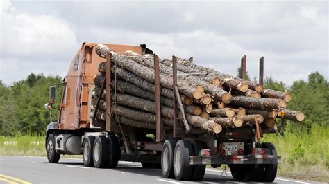 streamlining forestry logistics log truck routing