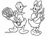 Daisy Donald Duck Coloring Pages Disney Disneyclips Printable Mouse Mickey Printables Bouquet Roses Giving Characters Choose Board sketch template