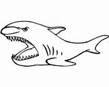 Basking Shark Coloring Simple Drawing sketch template