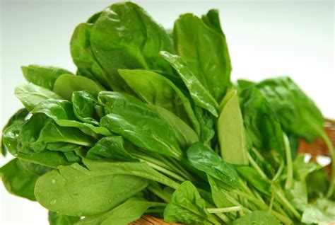 spinach    healthiest vegetables   world
