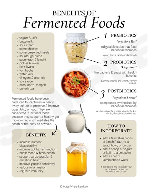 benefits  fermented foods handout functional health research