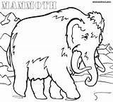 Mammoth Coloring Woolly Pages Age Ice Wooly Clipart 34kb 1000 Library sketch template