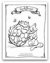 Coloring Vegetable Seed Packet Cauliflower Printable Garden Pages Gardening Books Kids Template sketch template