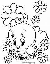 Coloring Pages Flowers Fun Tweety Beautiful Color Flower Kids Colouring Bird Cool Surrounded Printable Clipart Print Amazing Clip Flying Popular sketch template