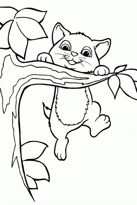 cutest cat coloring pages