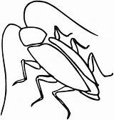 Cockroach Drawing Kids Clipart Welcome Line sketch template