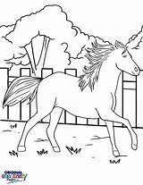 Galloping Horse Coloring Pages Getcolorings Printable Getdrawings sketch template