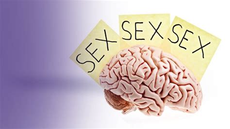 Sex Addiction Insight Season 2013 Episode 29 Sbs On Free Download
