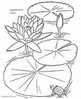 Coloring Pages Petals Flower Popular sketch template