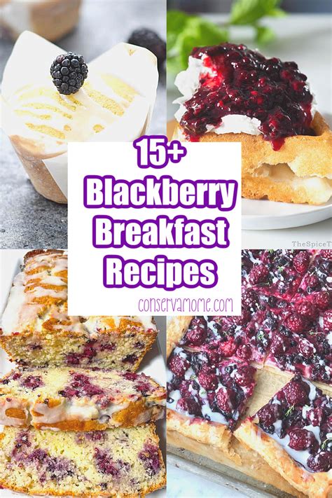conservamom  blackberry breakfast recipes conservamom