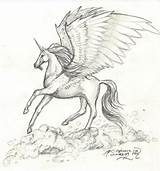 Pegacorn Ox Winged Fc09 Unicorns Alicorns Referred sketch template