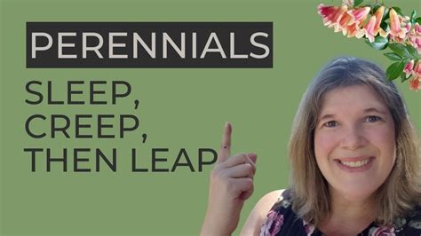 perennials sleep creep then leap youtube