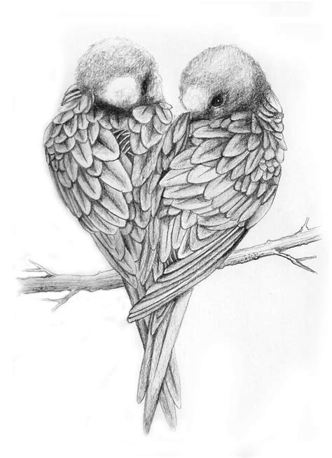 Pin By Mrs Mendel On Tattoos 3 Love Birds Drawing Bird Pencil