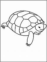 Turtle Coloring Pages Printable Kids Baby Color Template Animal Library Clipart Fun Popular Bestcoloringpagesforkids sketch template