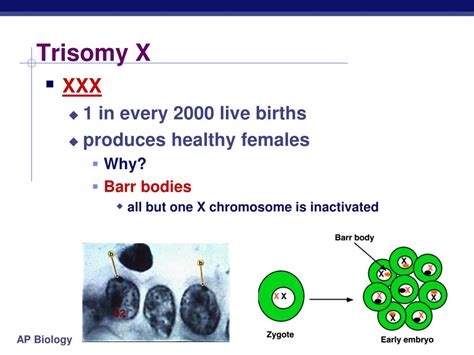 Ppt Errors Of Meiosis Chromosomal Abnormalities Powerpoint
