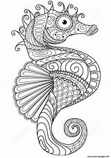 Coloring Adults Horse Sea Zentangle Pages Printable sketch template