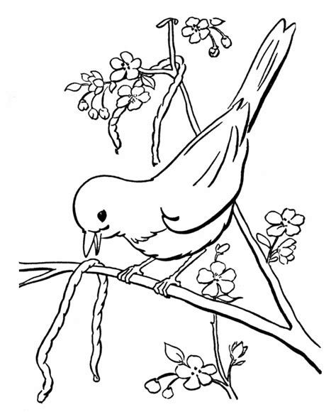 spring early bird coloring sheet coloring home