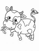 Cow Coloring Pages Cute Dairy Little Cows Eating Coloring4free Tail Bow Printable Grass Baby Color Kids Netart Getcolorings Template Book sketch template