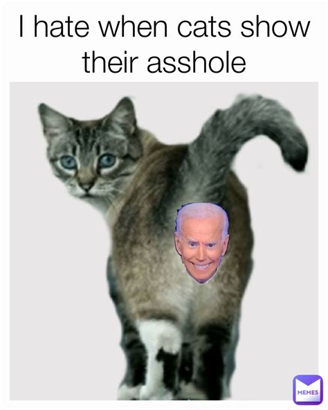 I Hate When Cats Show Their Asshole Johnnymoe1974 Memes