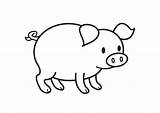 Coloring Pig Large Pages sketch template