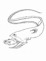 Eel Eels sketch template