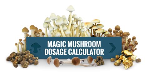 magic truffle  mushroom tea zamnesia blog