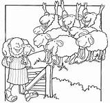 Sheep Smarrita Pecorella Parable Parabola Perdida Oveja Pastore Parables Shepherd Religiocando Oggetti Parábola Rayito Biblici Parabole sketch template