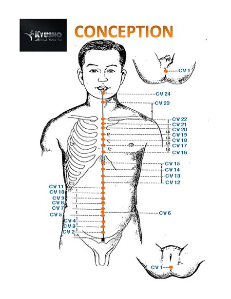human body pressure point map  printable acupressure points chart