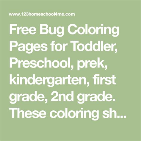 printable simple bug  insect coloring pages  kids bug
