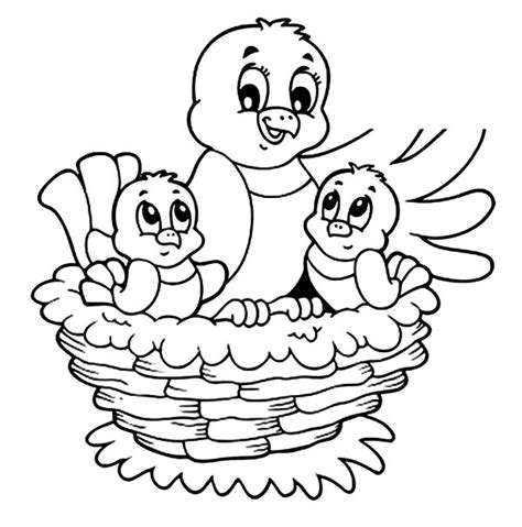 colouring pages birds nest coloringpages