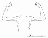Anime Arms Drawing Draw Flexing Manga Flexed Tutorial Positions Animeoutline sketch template