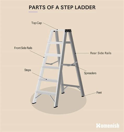 parts   ladder  diagrams  step ladder extension ladder