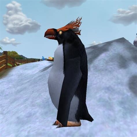 killer penguin zoo tycoon wiki fandom powered  wikia