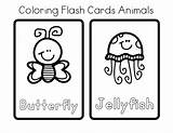 Flashcards Coloring sketch template
