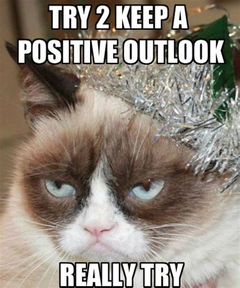 65 Best Happy New Year Cats Images On Pinterest Funny