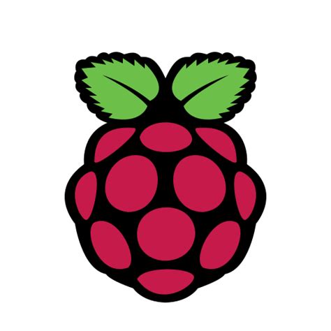raspberry pi social media logos icons