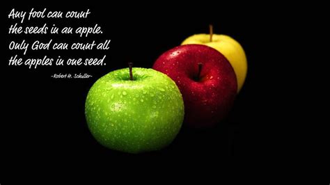 quotes  sayings  apples quotesgram