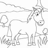 Sketsa Binatang Hewan Mewarnai Kuda Peliharaan sketch template