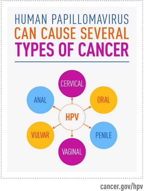 Geneproof Pcr Panel For Sexually Transmitted Infections