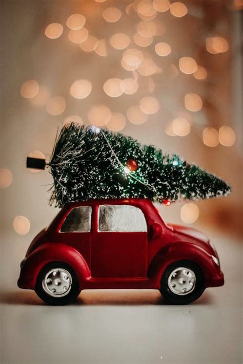 mini car holding christmas tree pictures   images