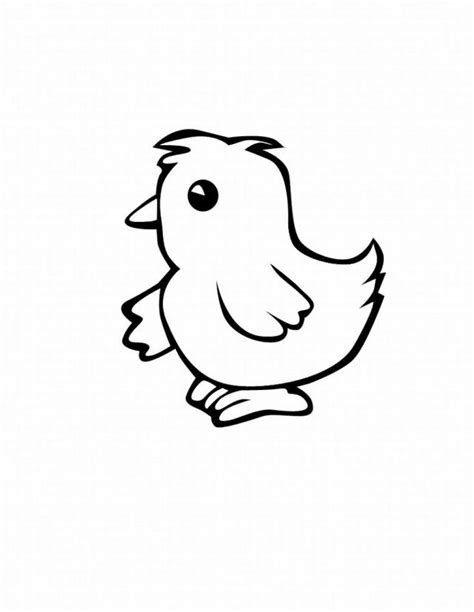 baby chicken coloring pages coloring home