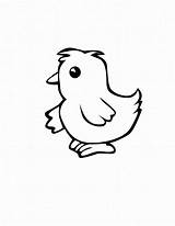 Coloring Chicken Pages Baby Popular sketch template