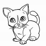 Coloring Cat Pages Cartoon Getcolorings Cute sketch template