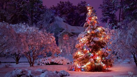 christmas tree wallpaper hd pictures  hd wallpaper pictures backgrounds