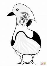 Mandarin Duck Coloring Pages sketch template