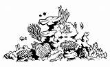 Clipart Corail Underwater Coloriages Naturaleza Outline Colorier Ko Webstockreview sketch template