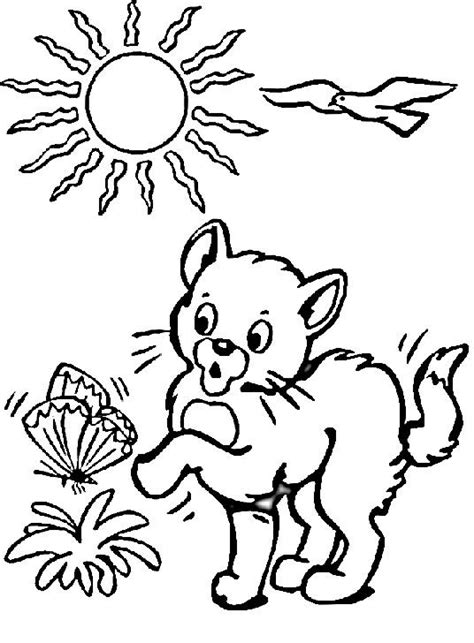 enter page title  butterfly coloring page cat coloring page kid