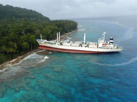 asian lily new zealand ship and marine society