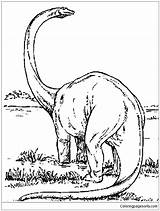 Brachiosaurus Coloring Pages Amazing Dinosaurus Color Dinosaurs Online Coloringpagesonly sketch template